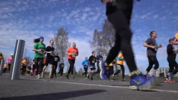 Many fans of a healthy lifestyle run city marathon. — Stock Video