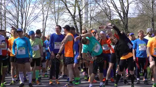 Many fans of a healthy lifestyle warming up before a race. — Stock Video