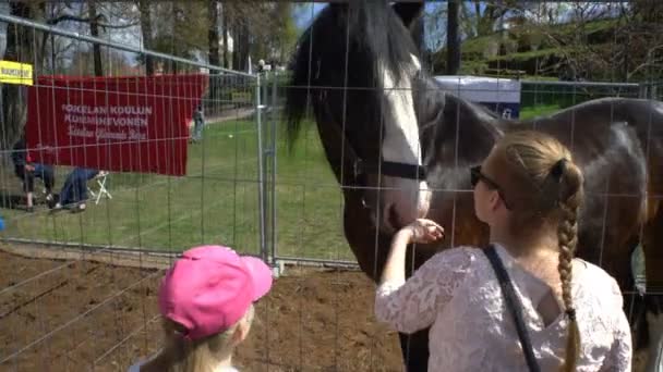 Bambini e adulti ammirano i cavalli purosangue durante la festa pubblica della città Cavalli nel parco Kaivopuisto . — Video Stock