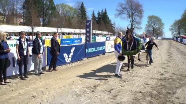 Futó bableves egyeseknél a város nyilvános fesztivál lovak a parkban Kaivopuisto. — Stock videók