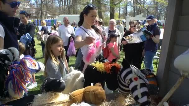 Children choose wooden sticks-horses. — Stock Video