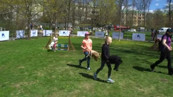 Wyścigi na drewniane kije konie. Dzieci jeżdżą na drewniane kije konie do destylacji. — Wideo stockowe