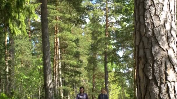 Dos mujeres activas hacen caminatas nórdicas en Park . — Vídeos de Stock