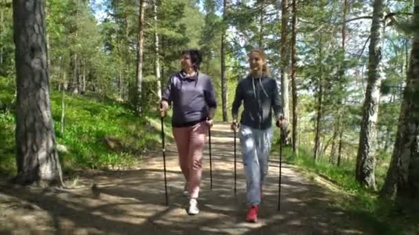 Két aktív nők csinál Nordic walking Park. Követés lövés. Lassú mozgás. — Stock videók