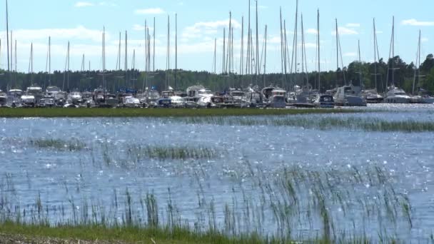 Muchos barcos en el puerto deportivo en el mar Báltico . — Vídeo de stock