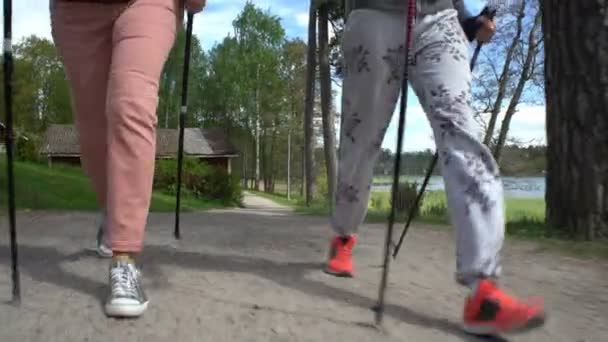 Две активные женщины занимаются скандинавской ходьбой в парке. Отслеживающий выстрел . — стоковое видео