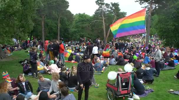 Miles de personas en solidaridad durante un desfile de orgullo gay en el parque de la ciudad . — Vídeos de Stock