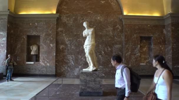 游客如鲫。 参观维纳斯雕像在巴黎卢浮宫博物馆. — 图库视频影像