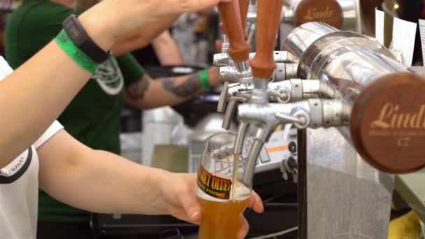 Barmen vierte cerveza de grifos de cerveza — Vídeos de Stock