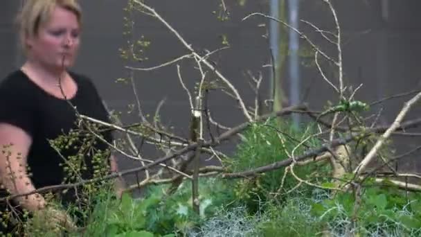 Professionele bloemisten maken bloemstukken tijdens de Floristic Festival — Stockvideo