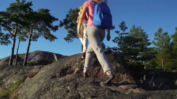 Duas jovens mulheres ativas ajudam umas às outras a escalar uma rocha alta — Vídeo de Stock