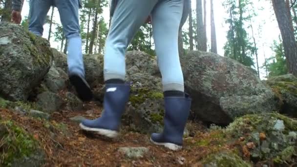 Oudere actieve echtpaar klimmen op de rotsen in het noordelijke bos. — Stockvideo