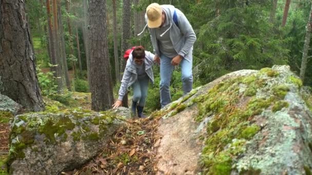 Ancianos pareja activa escalando en la roca en el bosque del norte . — Vídeo de stock