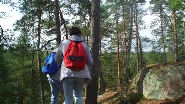 Elderly active couple climbing on the rock in the northern forest. — Stock Video