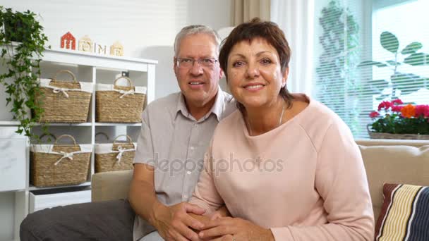 An Elderly Couple Communicates with Laptop Video Call — Stock Video