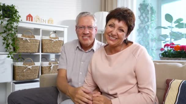 An Elderly Couple Communicates with Laptop Video Call — Stock Video