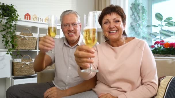 Coppia anziana connessa con gli amici utilizzando la videocamera per videochiamate portatile e bevendo champagne — Video Stock