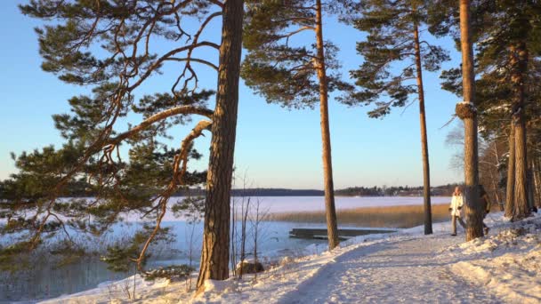 Desporto de inverno para todas as idades - caminhada nórdica Pessoas ativas caminhadas na floresta nevada — Vídeo de Stock