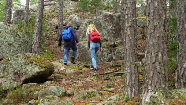 Jovem casal ativo escalando na rocha na floresta do norte — Vídeo de Stock