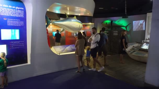 Visitors to the interior of the oceanic Museum Aquarium in Mallorca. — Stock Video