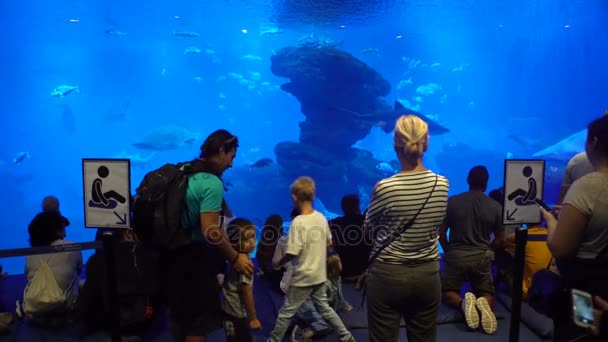 Muchos visitantes en el gran acuario — Vídeos de Stock