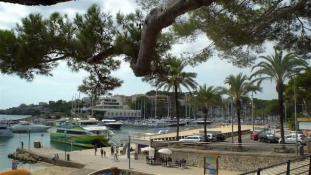 Mayorka Porto Cristo marina port Manacor Mallorca, İspanya — Stok video