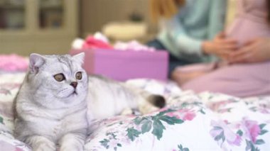 Kedi yatakta yatıyordu. Hamile kadın arkadaşı minik bebek şeyler gösterir..