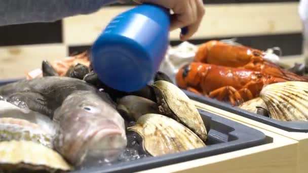 Der Verkäufer spritzt Wasser Meeresfrüchte — Stockvideo