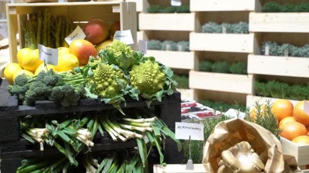 Taze organik sebze üstünde belgili tanımlık sayaç — Stok video