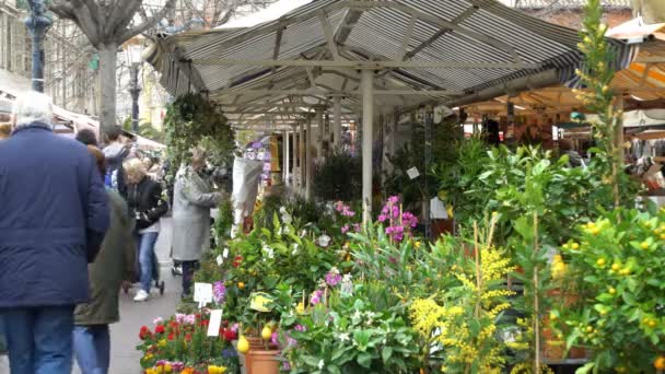 Slavný trh pod širým nebem ve starém městě Nice, Francie — Stock video