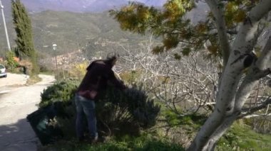 Biberiye Alpleri'nde toplama.