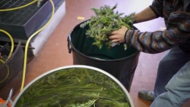 Parfüm esansları Buhar damıtma damıtma küp küçük bir dağ köyünde tarafından üretimi.