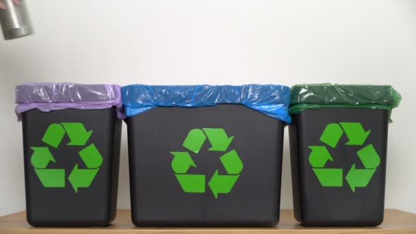 Distributie van afval voor recycling thuis. — Stockvideo