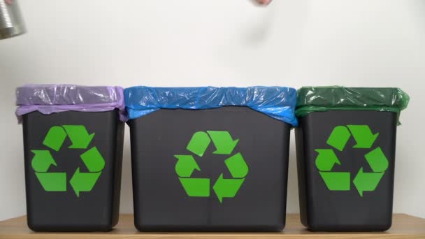 Distribuição de resíduos para reciclagem no domicílio . — Vídeo de Stock