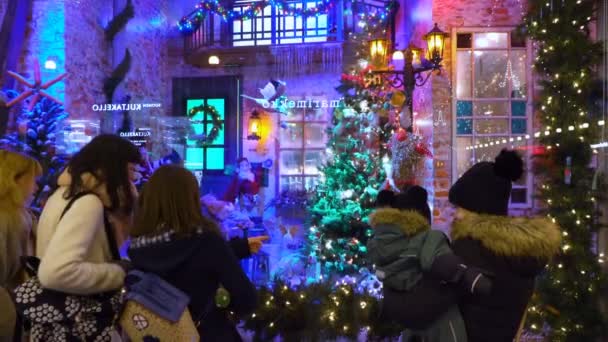 Children and adults view the Christmas holiday window displays. — ストック動画