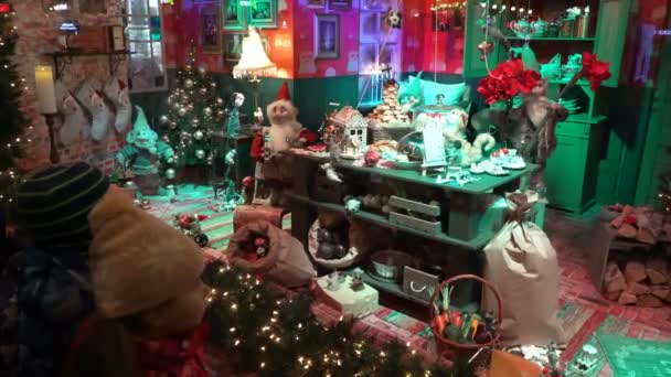 Children and adults view the Christmas holiday window displays. — ストック動画