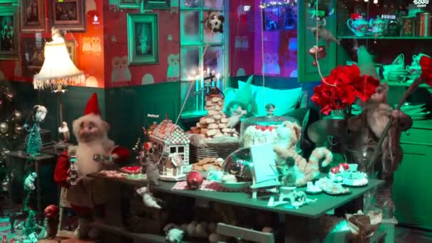 Kinder und Erwachsene betrachten die weihnachtlichen Schaufenster. — Stockvideo