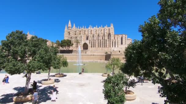 Katedrála Santa Maria, slavná gotická katedrála v Palma de Mallorca, Baleárské ostrovy, Španělsko — Stock video