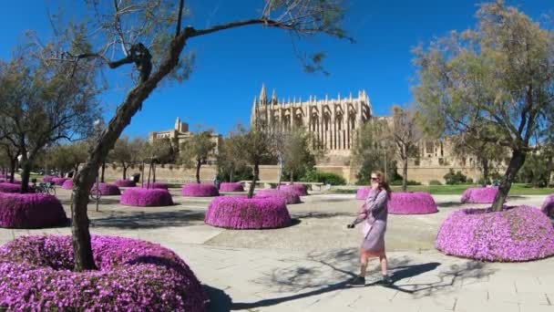 Cathédrale Santa Maria, célèbre cathédrale gothique de Palma de Majorque, Îles Baléares, Espagne — Video