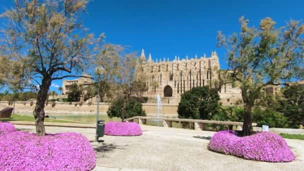Katedrála Santa Maria, slavná gotická katedrála v Palma de Mallorca, Baleárské ostrovy, Španělsko — Stock video