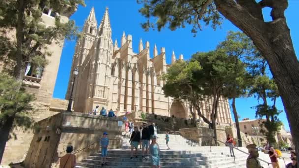 Katedralen Santa Maria, berömda gotiska katedralen i Palma de Mallorca, Balearerna, Spanien — Stockvideo