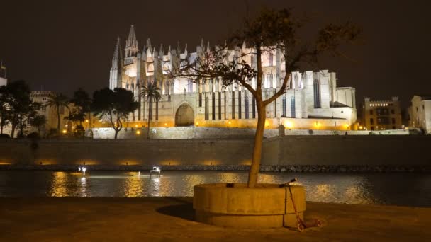 Catedral de Palma de Mallorca — Vídeo de stock