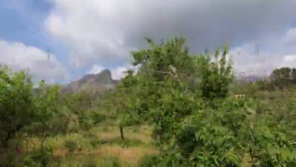 Panoramic motion tracking shot of the picturesque Mediterranean landscape. Mallorca, Spain — Stock Video