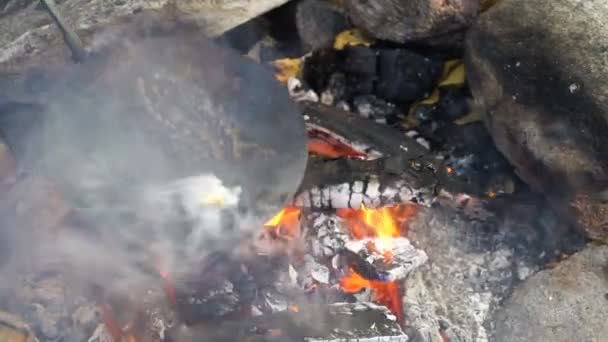 Amigos cocinando panqueques tradicionales sobre una chimenea abierta en el campamento al aire libre durante una caminata — Vídeo de stock