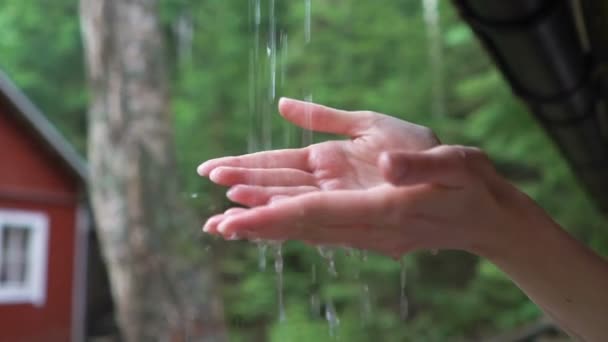 Mani femminili sotto la pioggia — Video Stock