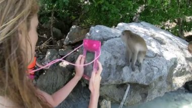 Turistler, Phi Phi yakınlarındaki Maymun Adası 'ndaki vahşi yengeç yiyen makakların telefonlarında fotoğraf çekiyorlar.