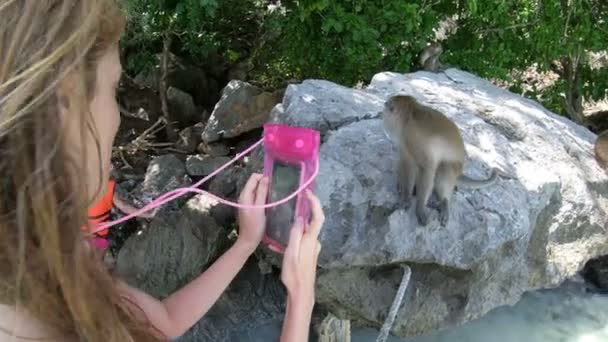 Tourists take photos on their phones of wild crab eating macaques on Monkey Island near Phi Phi — 비디오