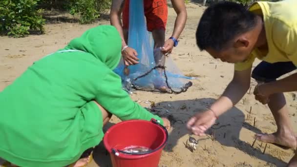 Junge Leute holen kleine Fische aus dem Netz. — Stockvideo