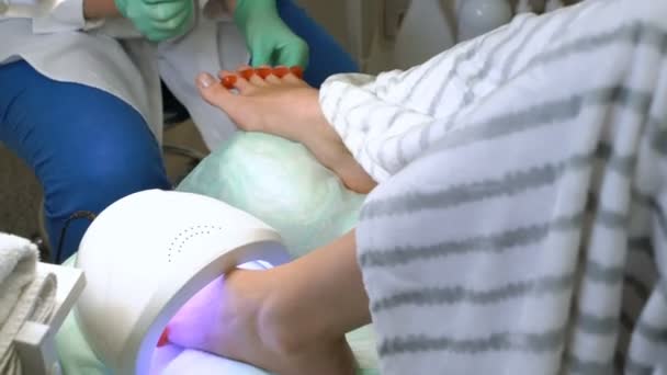 A pedicurist varnishes a young womans toenails — Stock Video