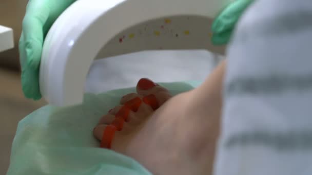 Um pedicurista enverniza uma jovem mulher unhas dos pés — Vídeo de Stock